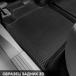 Левый пассажир