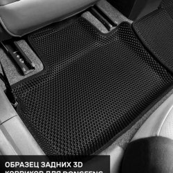 Левый пассажир