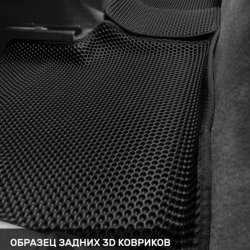 Левый пассажир