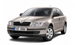 2D коврики EVA в салон и багажник  на Skoda Octavia II A5 (2004-2013)
