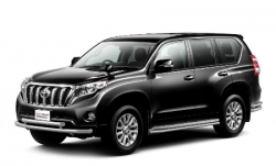 2D коврики EVA в салон и багажник  на Toyota Land Cruiser Prado 150 (2009-2013)